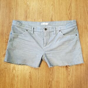 Carve Designs Oahu Delta Blue 4" Inseam Shorts